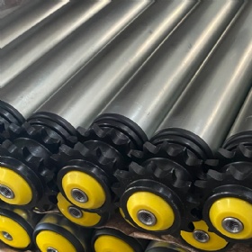 DP2322 Series Double Polymer Sprocket Roller
